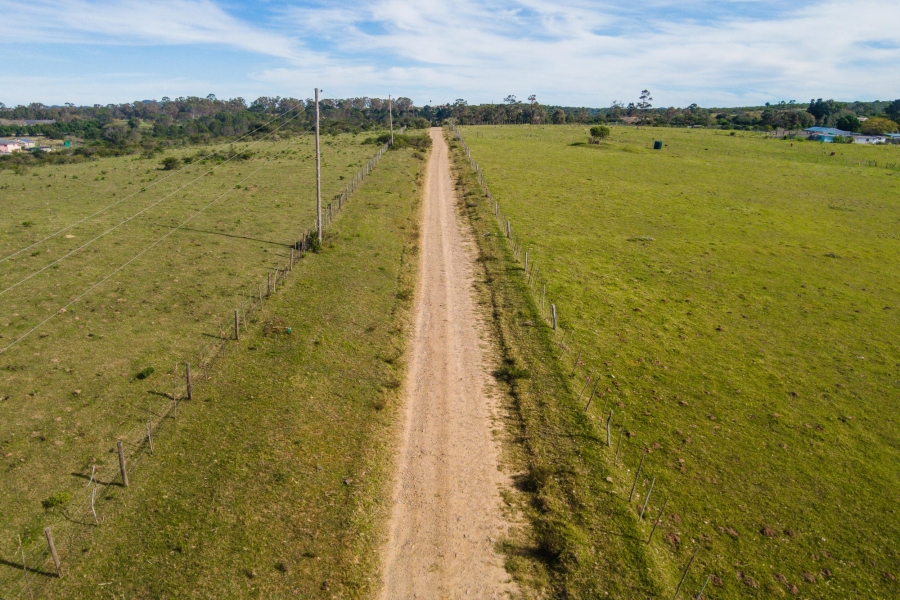 0 Bedroom Property for Sale in Alexandria Eastern Cape